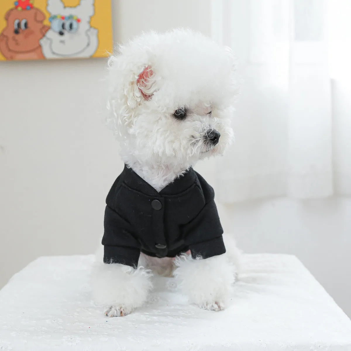 Casual grey patterned dog sweater for autumn and winter wear, shown in size L.