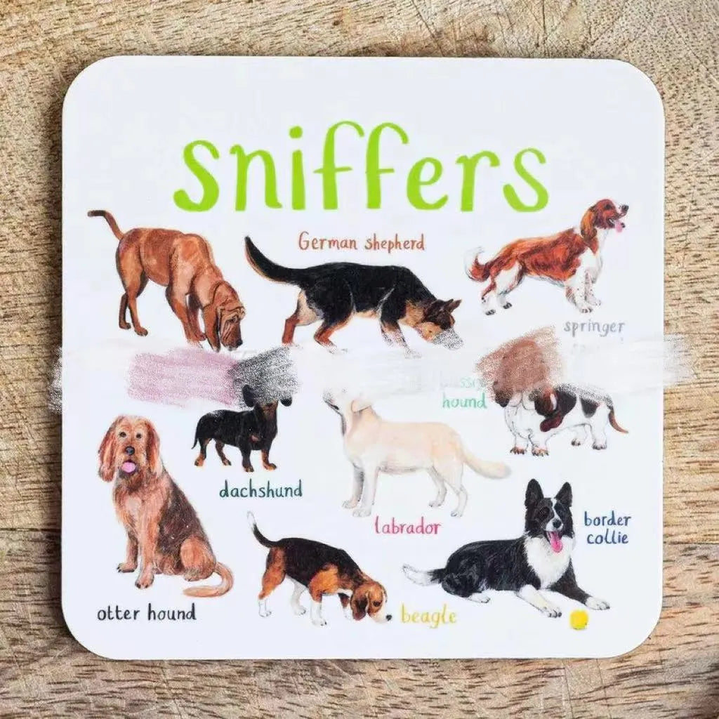 Square bird pun coasters, PVC drink mats 10x10x0.35 cm, 6 or 12 piece set with bird charts.