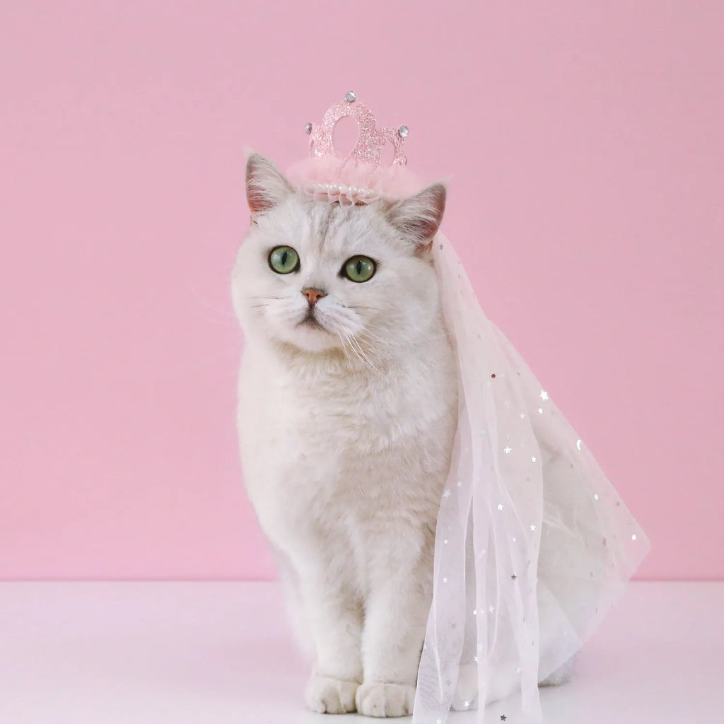 Pet princess crown headdress with veil for cats, available in beige or pink cotton polyester.