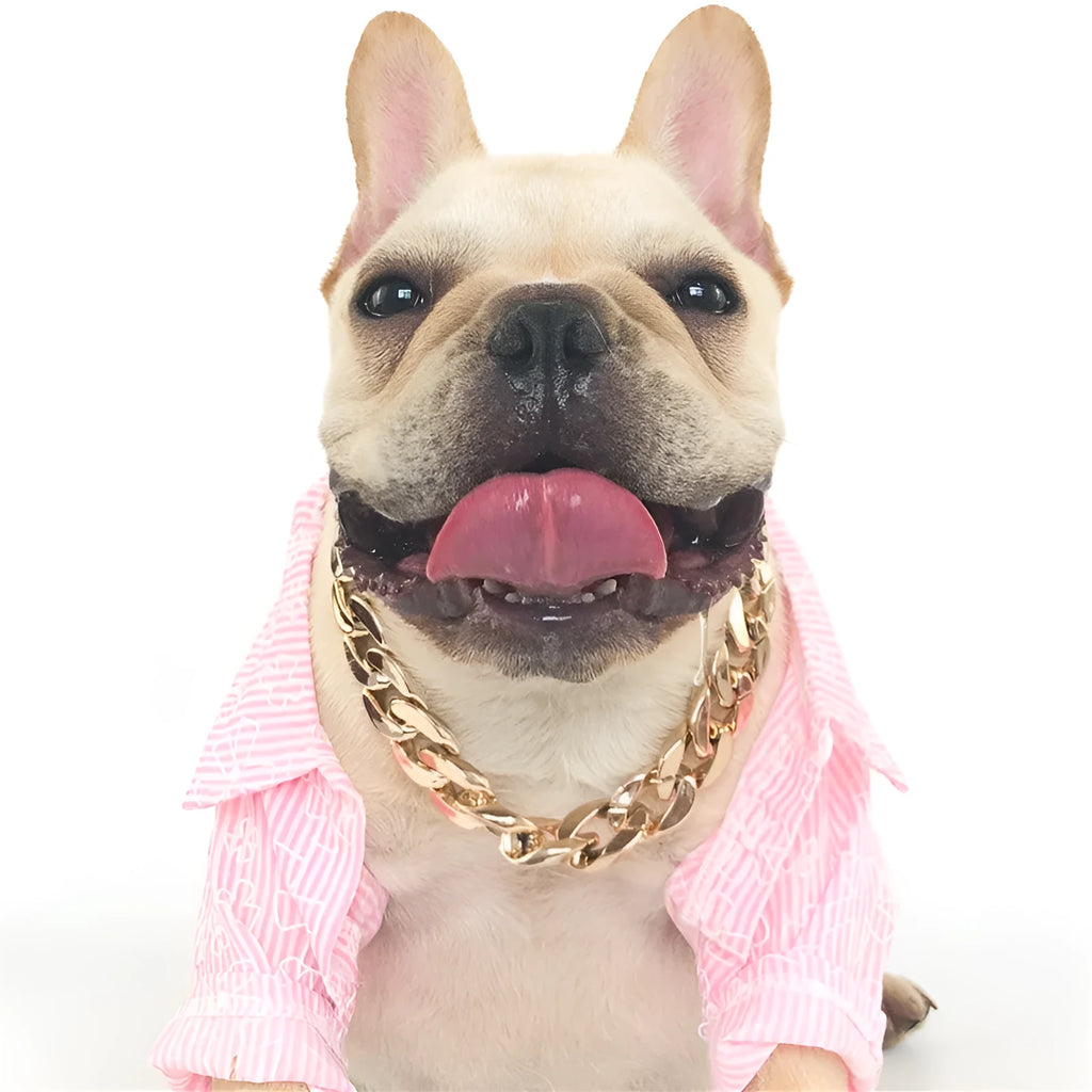 Geometric twisted chain dog collar with buckle on a white background, shown in gold colour options.