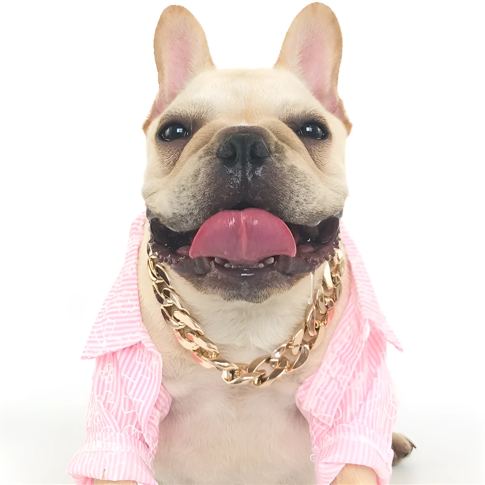 Geometric twisted chain dog collar with buckle on a white background, shown in gold colour options.