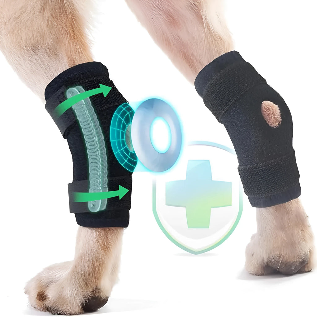 Black dog rear leg auxiliary strap made of neoprene with Velcro fastening shown on a flat surface