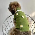 Pink knitted dog sweater with a flower blossom pattern, shown on a small dog.