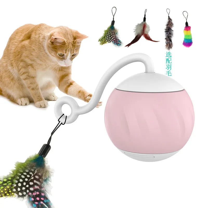 Electric cat teasing ball with LED lights in watermelon and pumpkin colour designs on wooden floor