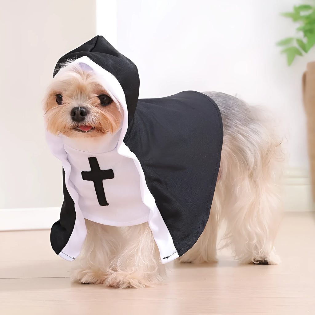 Cat wearing a black polyester nun cloak pet costume for Halloween with white collar