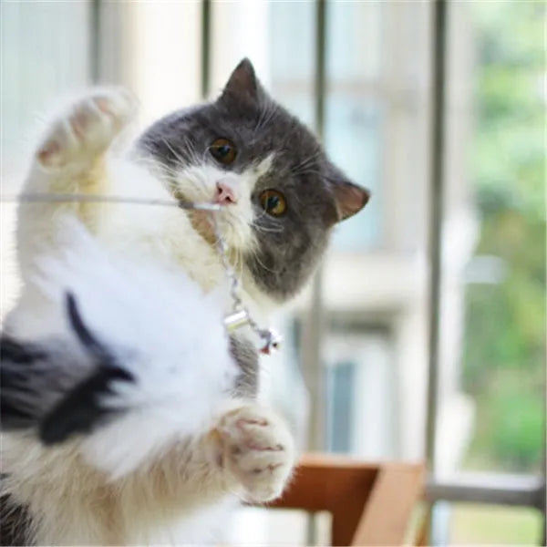 Funny cat stick with wooden handle, flexible rod, and black and white fur replacement head with feather and bell