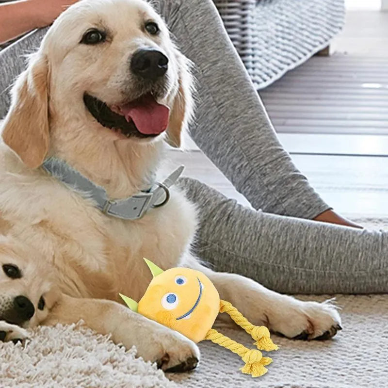 Blue cartoon-shaped dog squeaky toy with knotted cotton rope construction