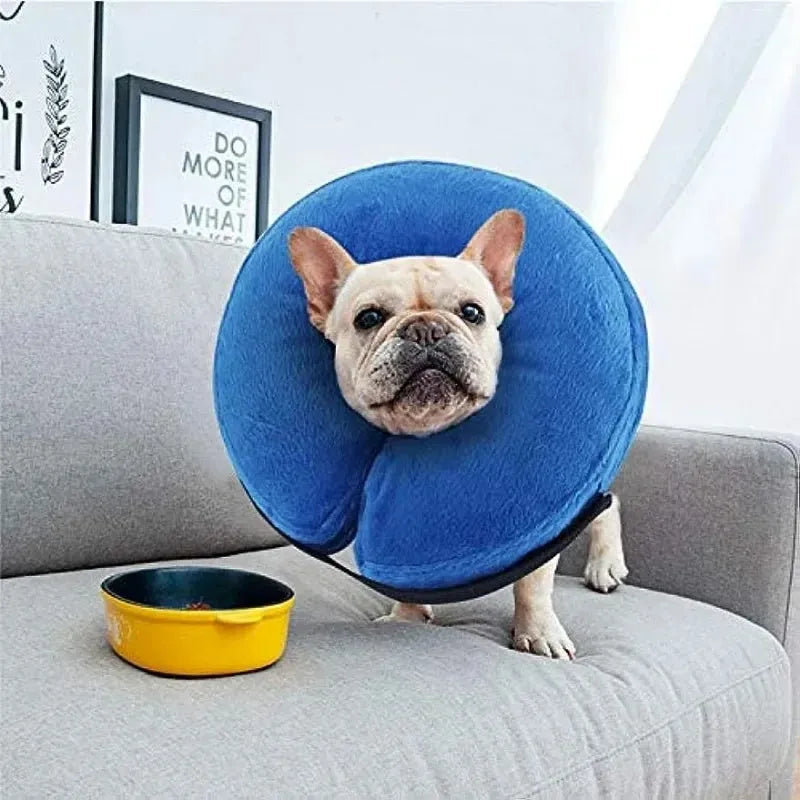 Blue inflatable dog recovery collar shown on a pet, with size chart for XS, S, M, L, XL.