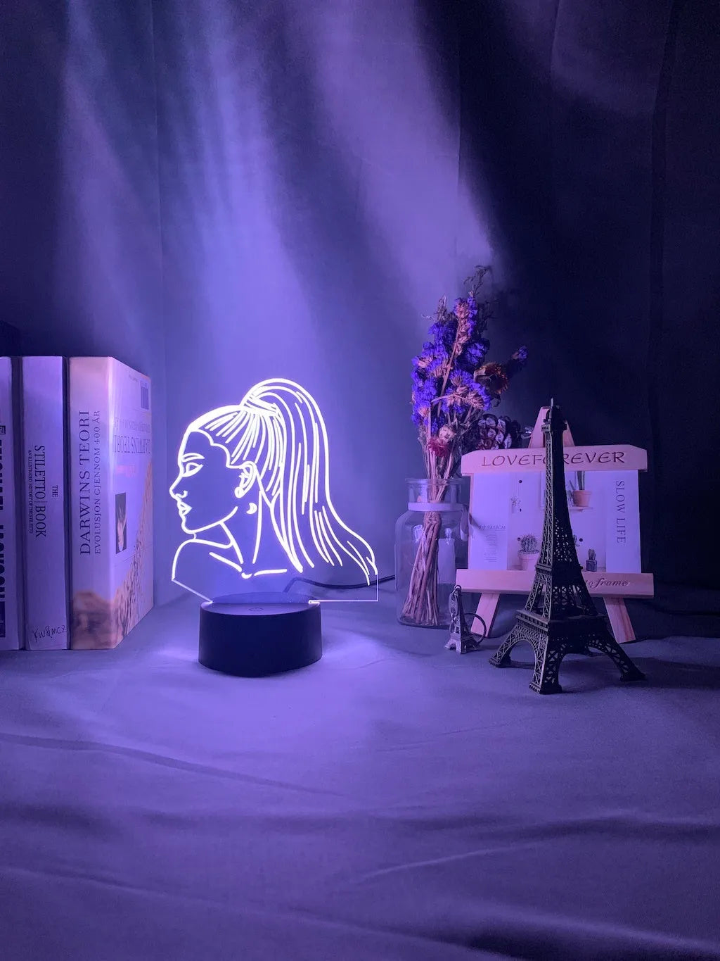 Acrylic 3D night light with European style design and LED illumination
