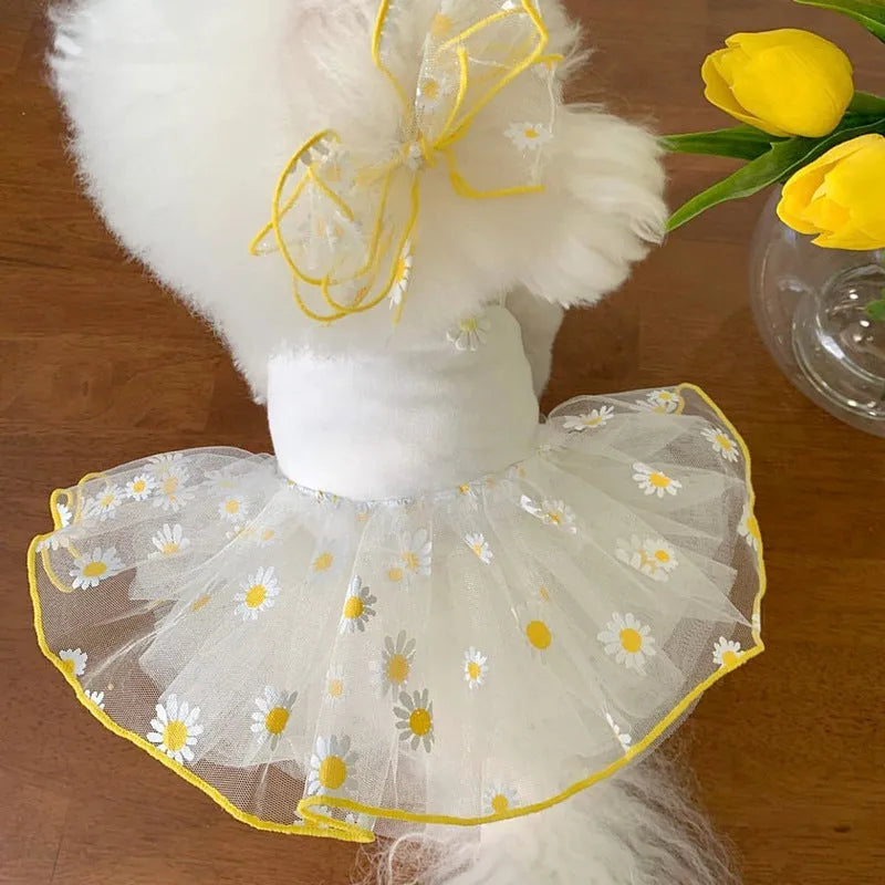 Yellow daisy pattern polyester dog clothes for summer in sizes XS to XL