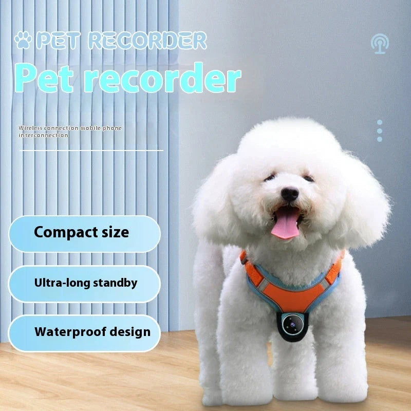 Wearable pet camera collar with GPS tracker, allowing you to record and monitor your furry friend's activities from their perspective