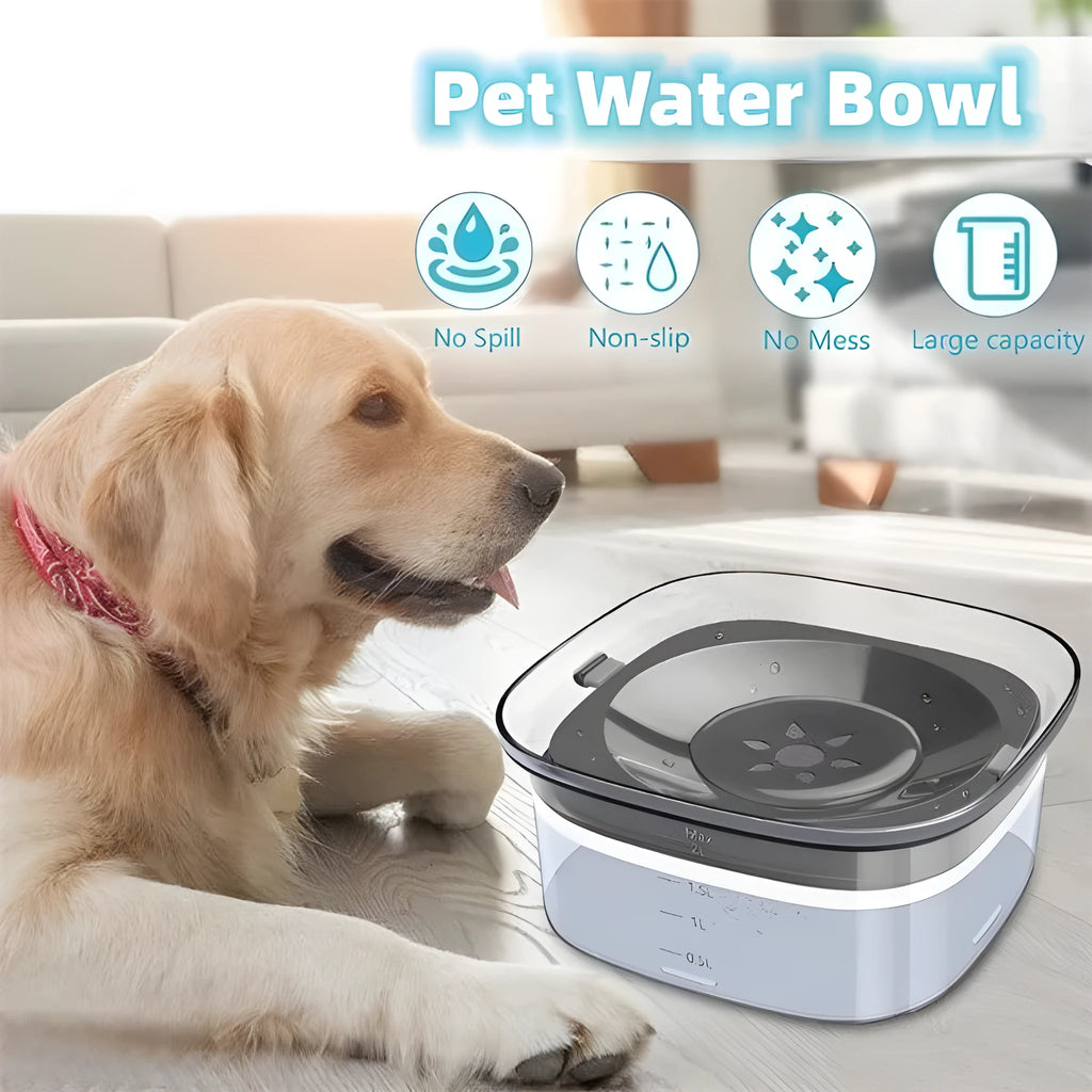 Transparent 2 litre dog water bowl with floating disc showing water level visibility