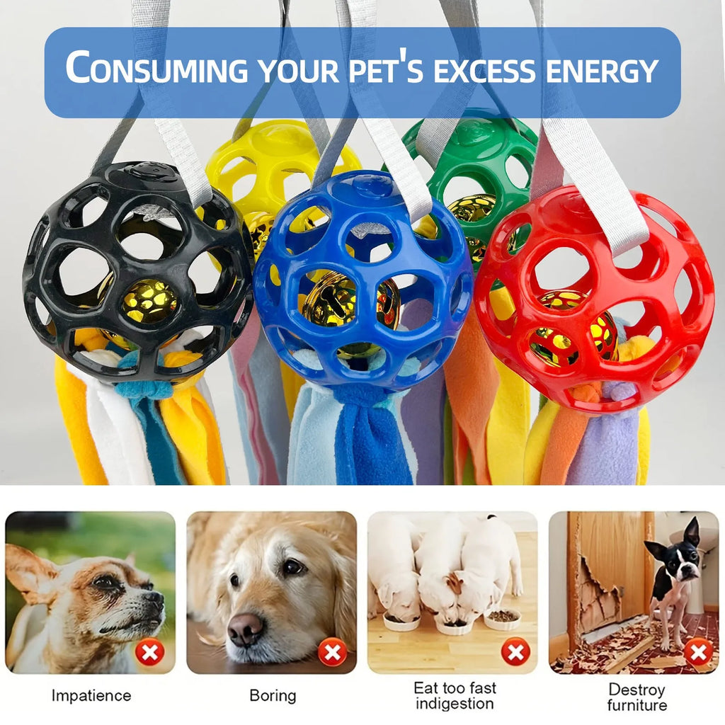 Interactive hollow TPR pet toy ball with sound bells in five colour options