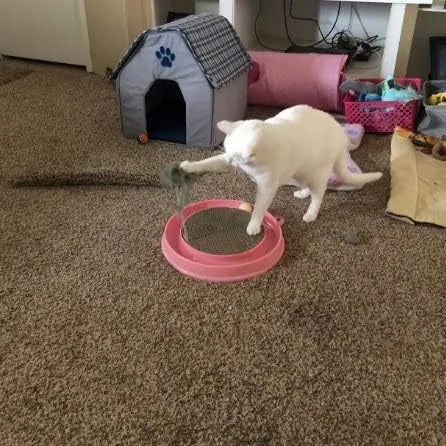 Blue circular cat scratcher toy with ball track and replaceable cardboard scratching pad