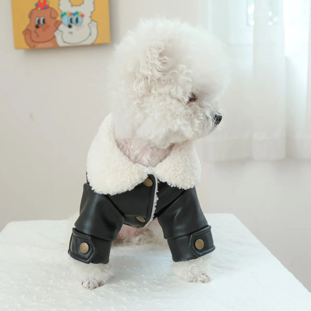 Beige fleece-lined padded dog coat on a small dog, showing chest measurement and length sizing.