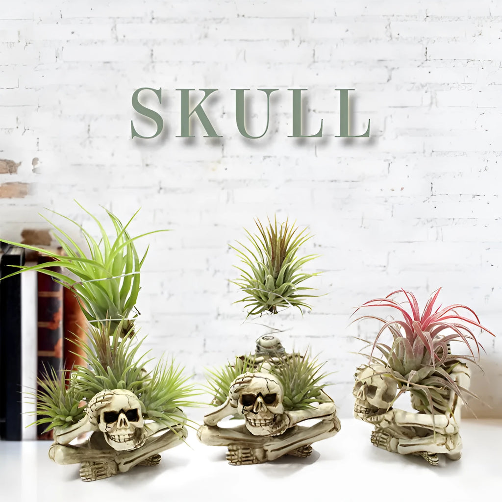 Gothic skull design resin potted bracket for tillandsia air plant, showing iron base and overall dimensions.