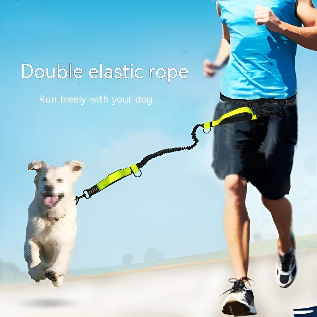 Blue retractable dog running belt with adjustable waist strap for hands-free control