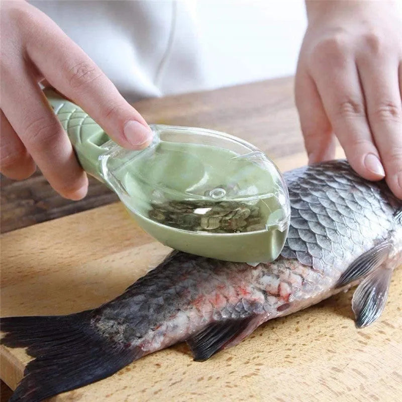 Fish-shaped scale scraper with cover in white, green, or blue colour options