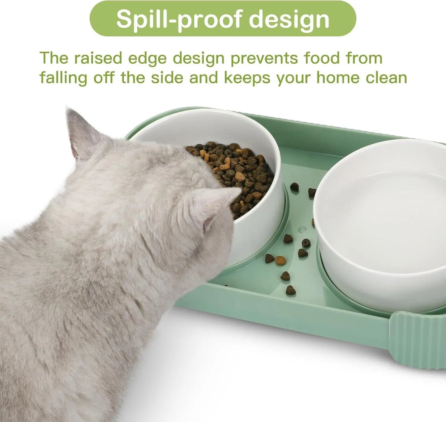 Green ceramic elevated cat bowl set with 15 degree tilt on a white base