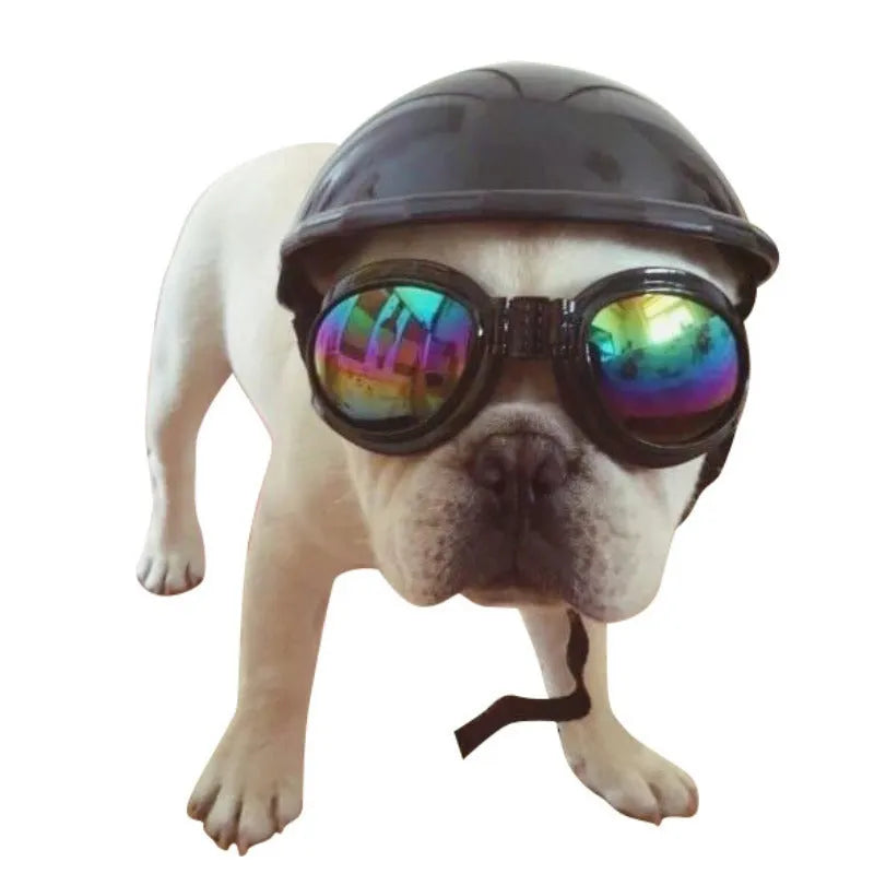 Plastic dog motorcycle helmet in pink colour showing size options for small medium large dogs