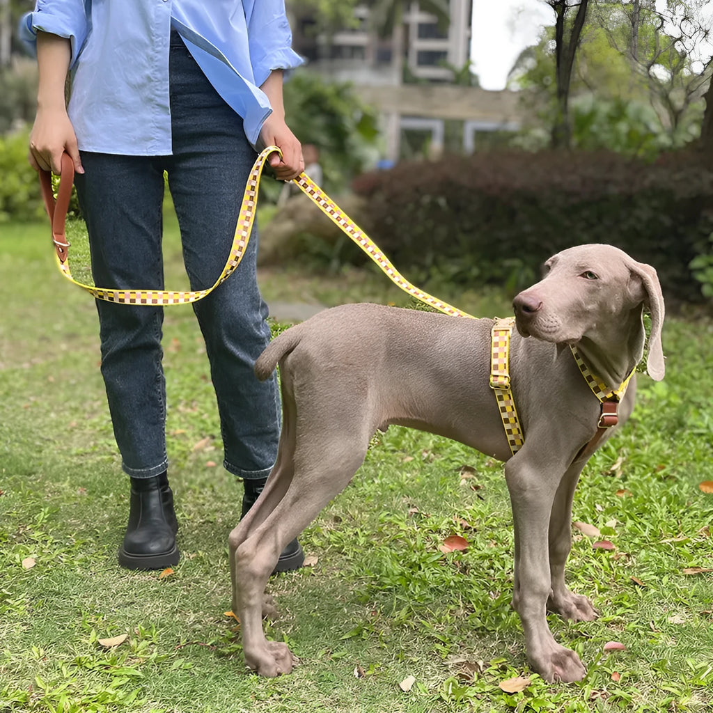I-shaped dog chest harness with adjustable collar and 150cm hand-holding rope in leather rib fibre