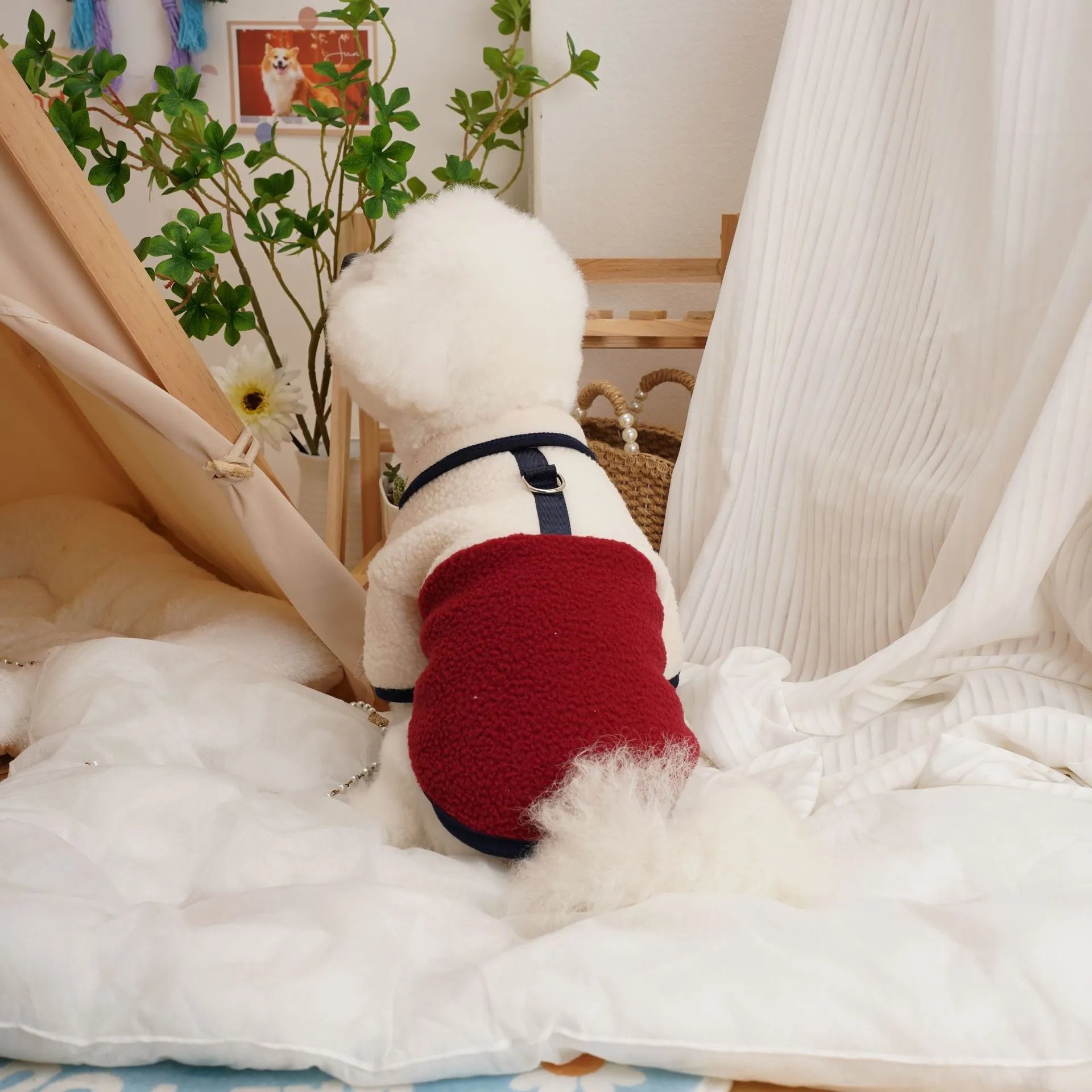Lambswool pet sweatshirt in caramel colour with Berber fleece thickened construction for autumn winter wear