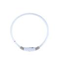 Blue USB rechargeable LED dog collar glowing around dog's neck with adjustable 70cm length