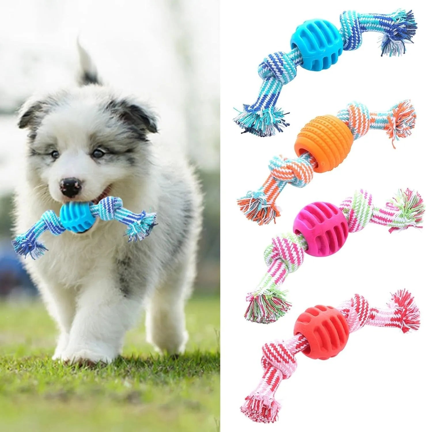 Blue dog chew toy with rope strands and molar cleaning textured surfaces
