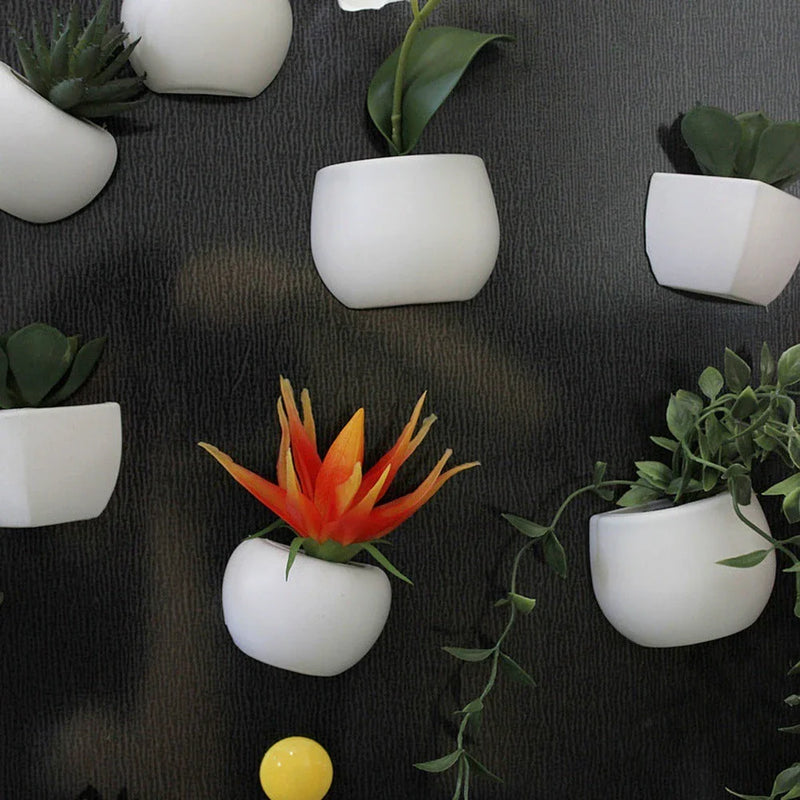 NZ Charming Succulent Fridge Magnets: Liven Up Your Kitchen