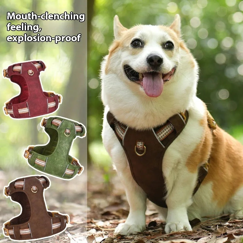 Brown leather dog harness with reflective strips and D-ring attachment on wooden background