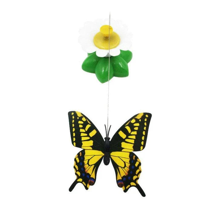 Colorful rotating butterfly cat toy with vibrant colors and mesmerizing motion