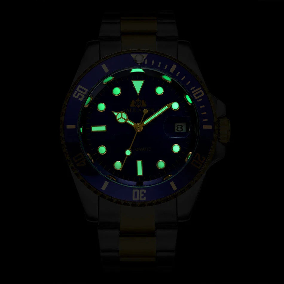 Fully Automatic Mechanical Watch with Luminous Display, Stylish Accessory for Active Kiwis