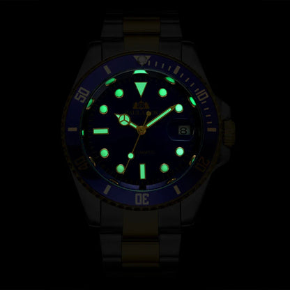 Fully Automatic Mechanical Watch with Luminous Display, Stylish Accessory for Active Kiwis