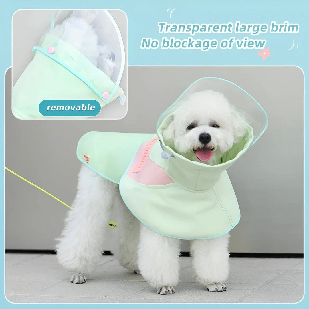 Waterproof Dog Raincoat: A stylish and practical solution for keeping your Kiwi canine companion dry and happy in any weather