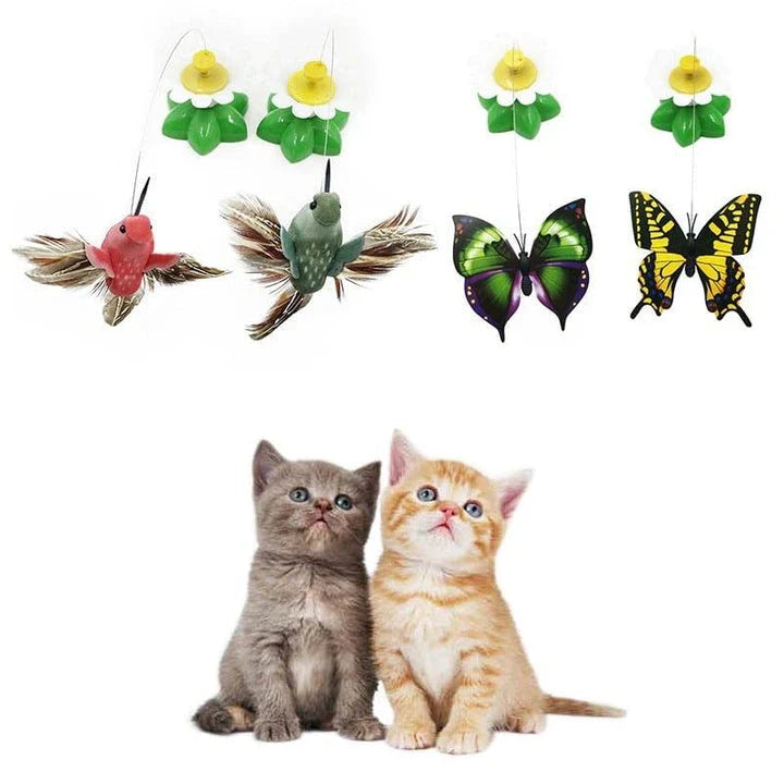 Colorful rotating butterfly cat toy with vibrant colors and mesmerizing motion