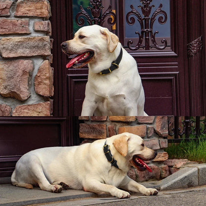 Adjustable leather dog collar in brown, designed for medium to large breeds, featuring a padded interior for comfort and a sturdy construction for active dogs.