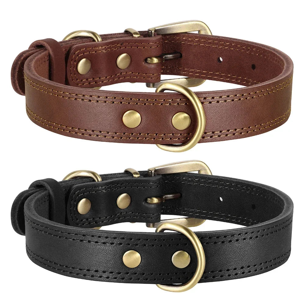 Adjustable leather dog collar in brown, designed for medium to large breeds, featuring a padded interior for comfort and a sturdy construction for active dogs.