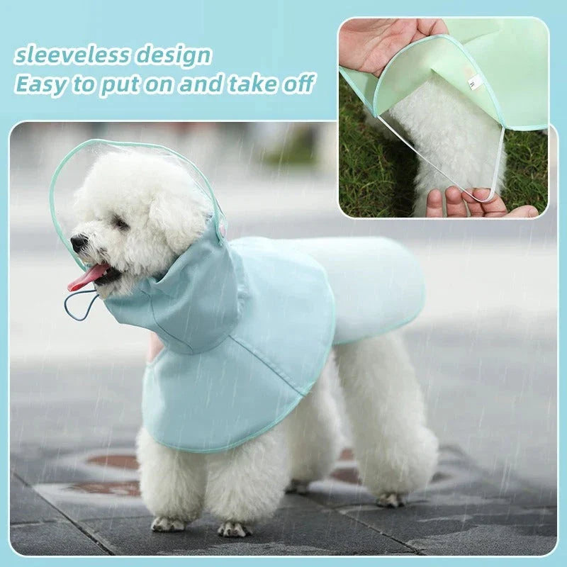 Waterproof Dog Raincoat: A stylish and practical solution for keeping your Kiwi canine companion dry and happy in any weather