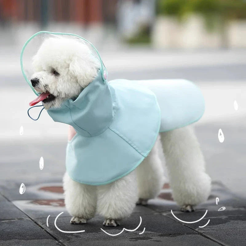 Waterproof Dog Raincoat: A stylish and practical solution for keeping your Kiwi canine companion dry and happy in any weather