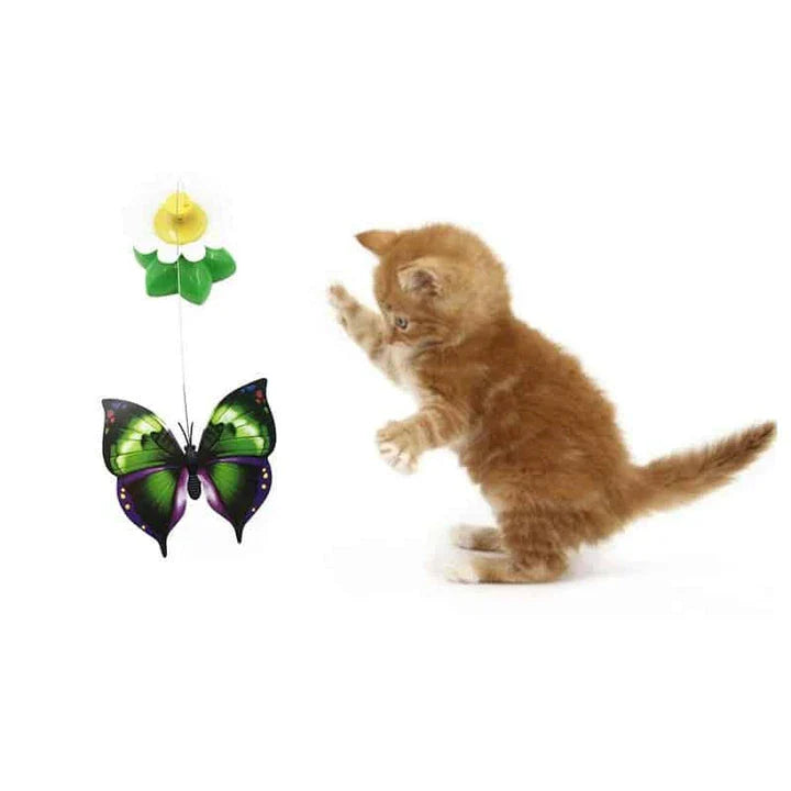 Colorful rotating butterfly cat toy with vibrant colors and mesmerizing motion