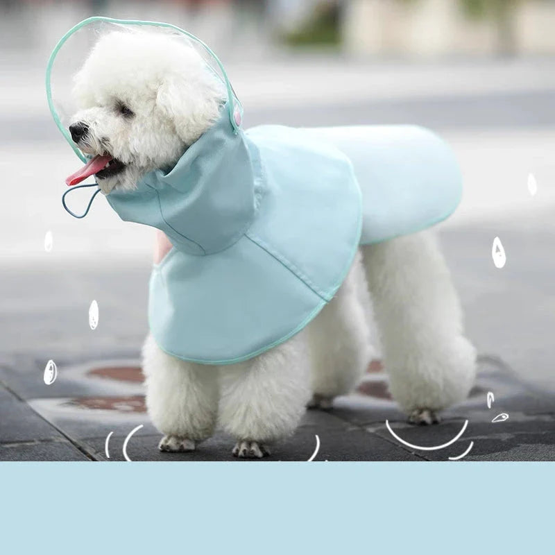 Waterproof Dog Raincoat: A stylish and practical solution for keeping your Kiwi canine companion dry and happy in any weather