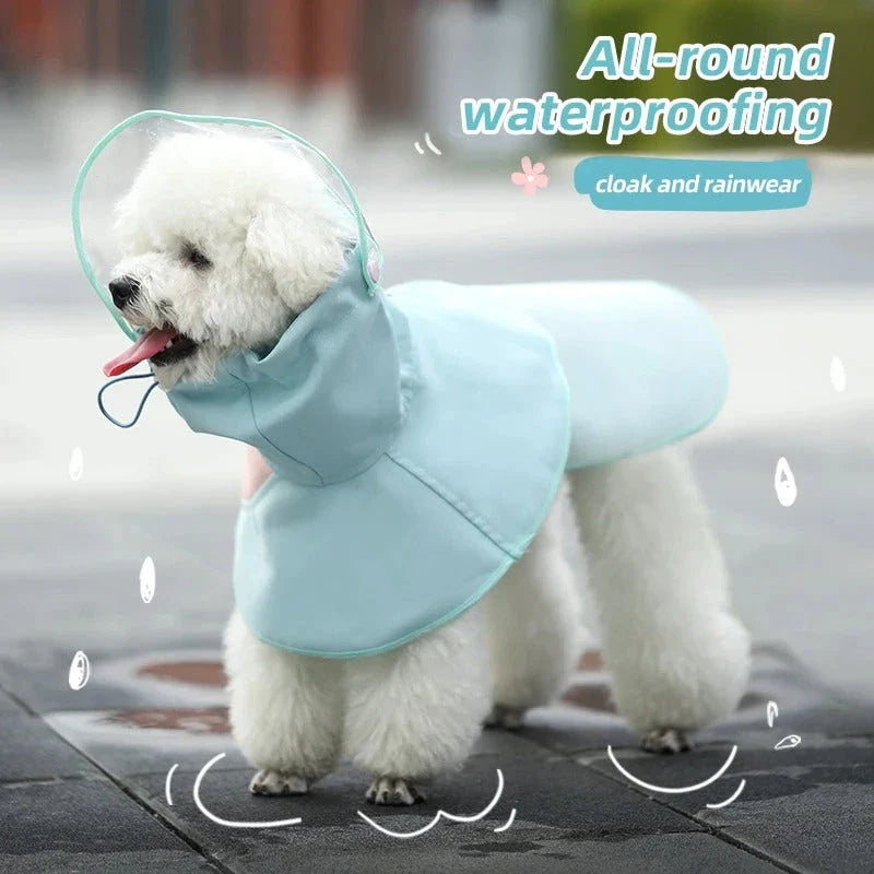 Waterproof Dog Raincoat: A stylish and practical solution for keeping your Kiwi canine companion dry and happy in any weather