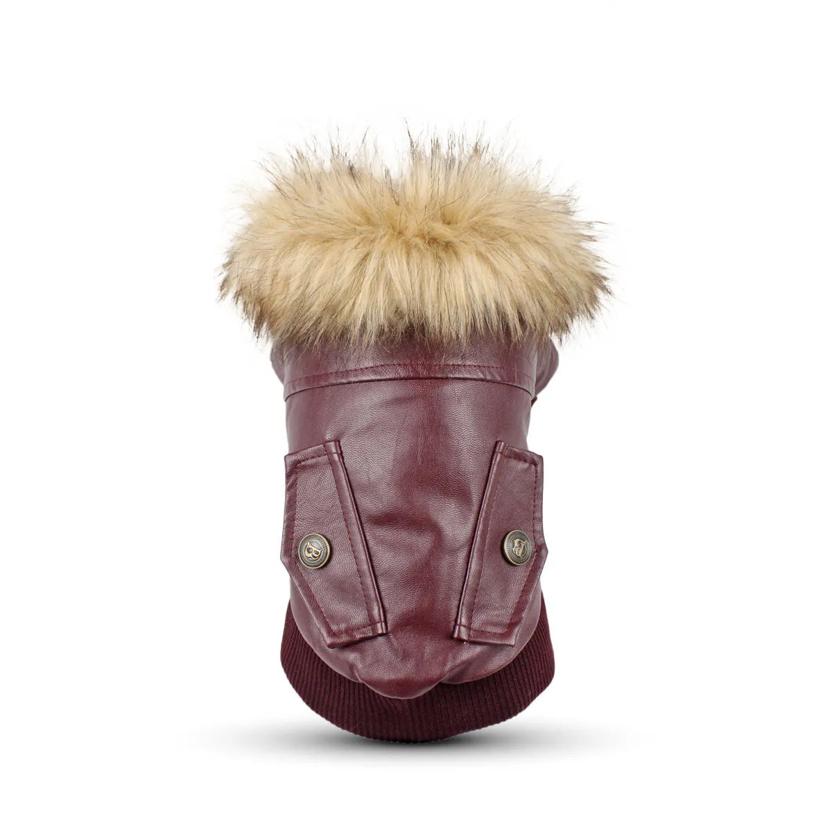 Leather dog coat with faux fur collar in British style for autumn and winter wear