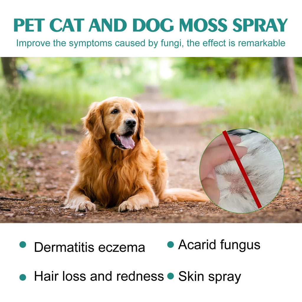 30ml pet cat dog moss spray bottle with kuh-Seng, Guanzhong, and aloe extracts for mite removal and anti-itching