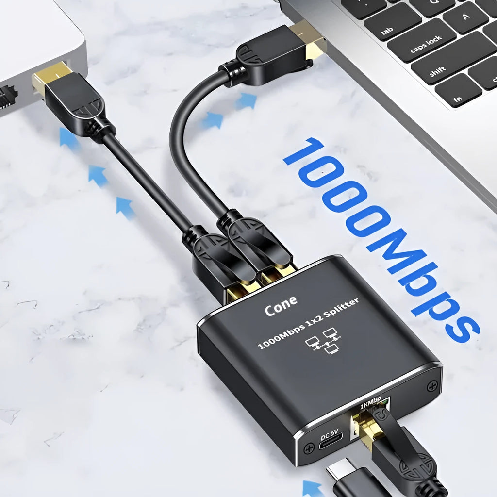 ZLR100 gigabit network hub with 2 ports for computer connection