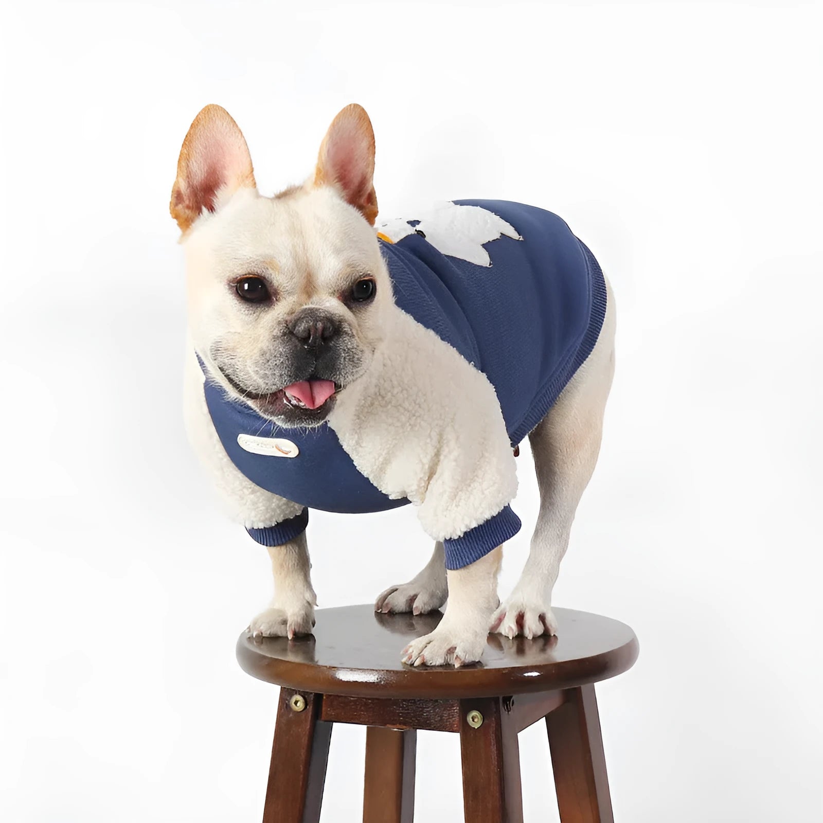 Dark blue fleece-lined cotton pet clothes for dogs and cats in winter