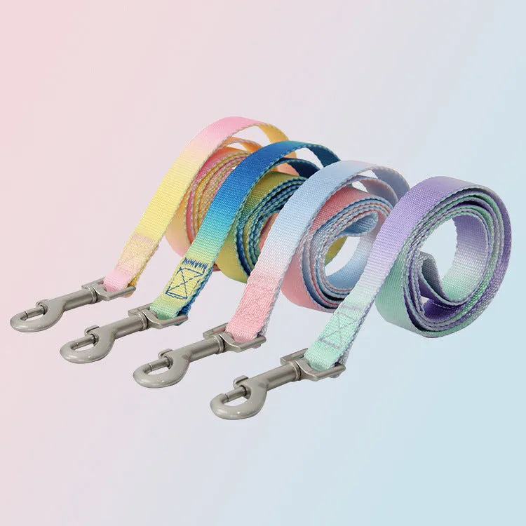 Gradient colour nylon dog leash and collar set showing blended pink, blue, yellow, purple, and green hues