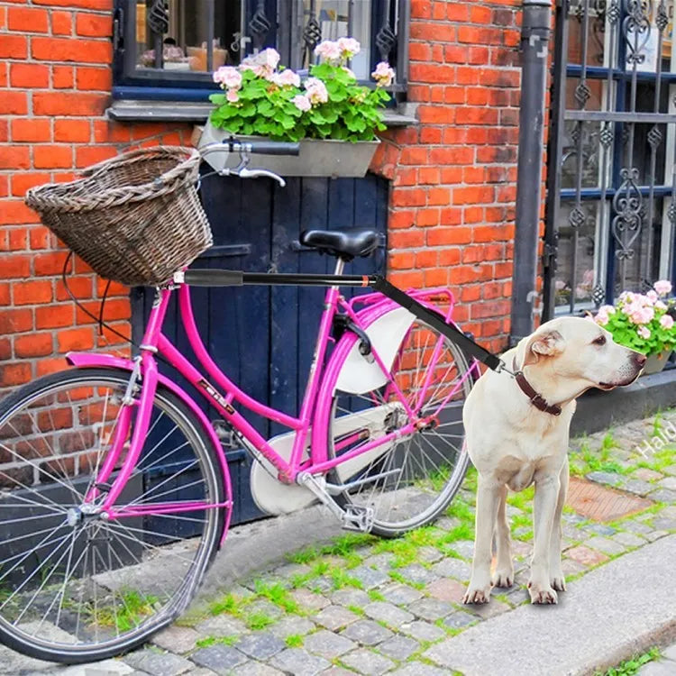 Black bicycle dog walker attachment with detachable dog chain and harness, 24 x 15 inch hard frame, 120kg load capacity