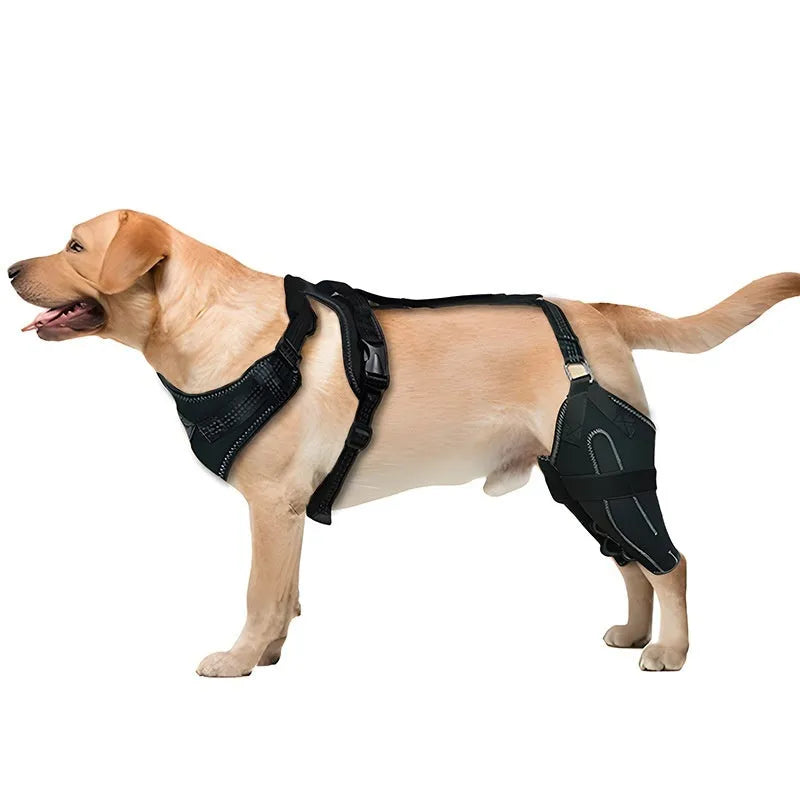 Black dog thigh protective sleeve with adjustable metal support for postoperative care