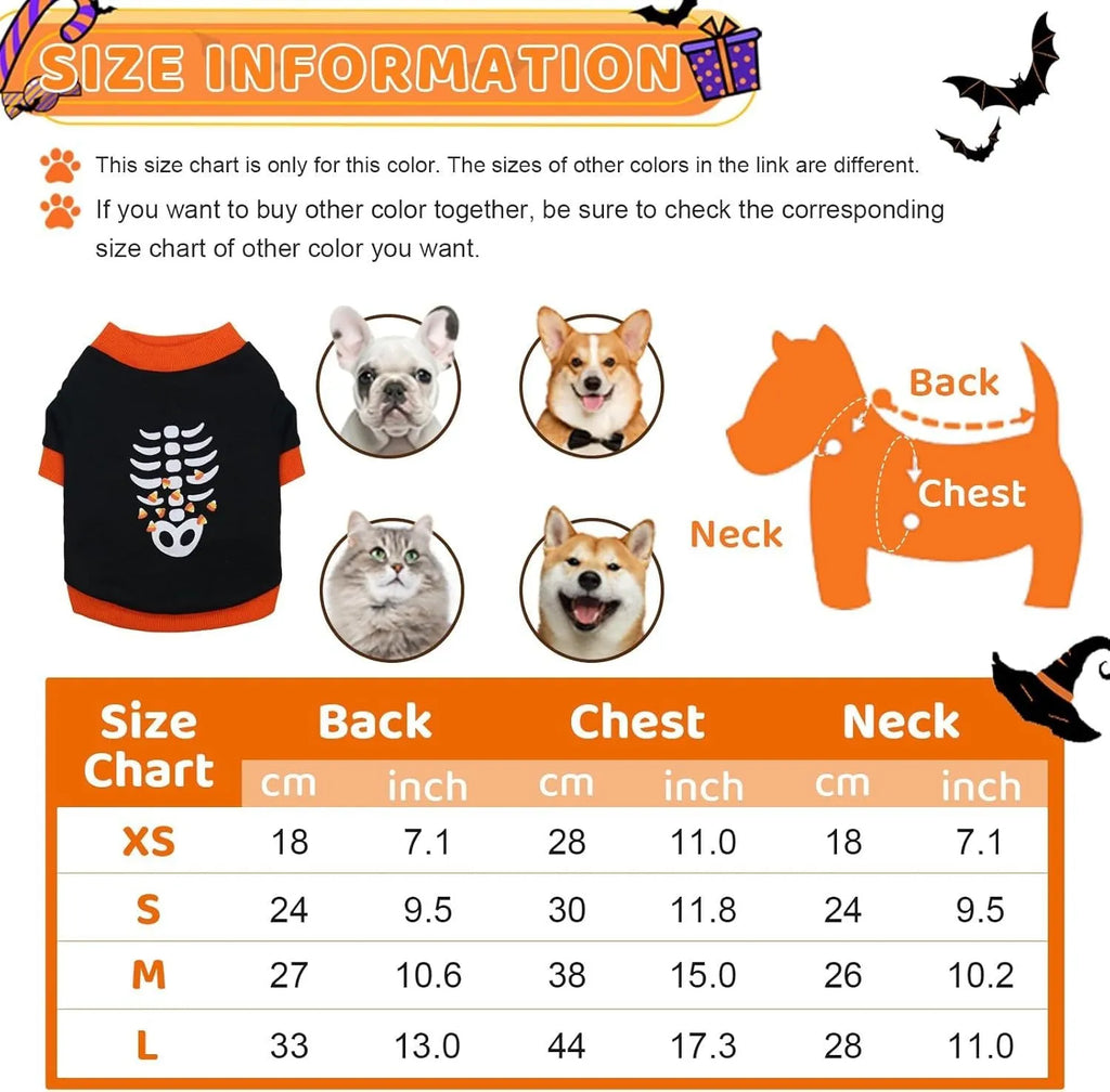Orange dog sweatshirt with white skeleton bones print on a small Dachshund.